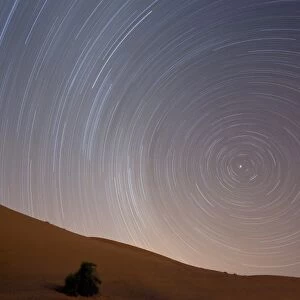 Star trails in night sky around Polaris (the pole star) over dunes of the Erg Chebbi