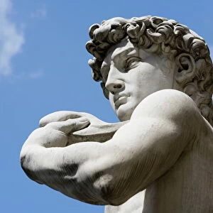 Statue of David, Piazza della Signoria, Florence, UNESCO World Heritage Site