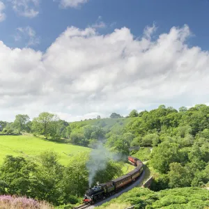 A steam locomotive pulling carriages through Darnholme on the North Yorkshire Steam