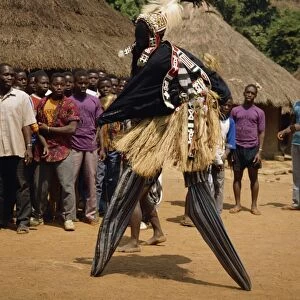 Stilt dancer watched by villagers, Ivory Coast, West Africa, Africa