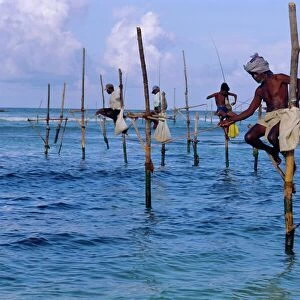 Stilt fishermen at Welligama