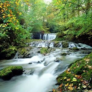 Stock Ghyll Beck, Ambleside, Lake District, Cumbria, England