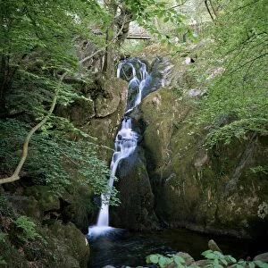 Stock Ghyll Force, Ambleside, Lake District, Cumbria, England, United Kingdom, Europe