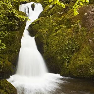 Part of Stock Ghyll Force waterfall near Ambleside, Lake District National Park, Cumbria, England, United Kingdom, Europe