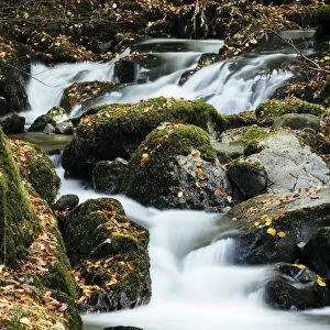 Stock Ghyll Force Waterfalls, Ambleside, Lake District, Cumbria, England, United Kingdom