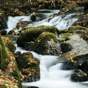 Stock Ghyll Force Waterfalls, Ambleside, Lake District, Cumbria, England, United Kingdom