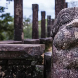 Stone guardian lion statue at the Audience Hall at Parakramabahus Royal Palace, Polonnaruwa, UNESCO World Heritage Site, Sri Lanka, Asia