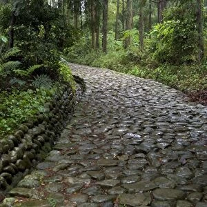 Stone paving called ishidatami on old Tokaido Road in Shizuoka that once stretched from Tokyo to Kyoto