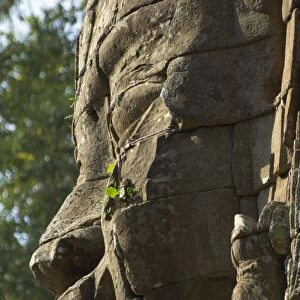 Stone statuary of human face, Ta Prohm temple, Angkor, UNESCO World Heritage Site