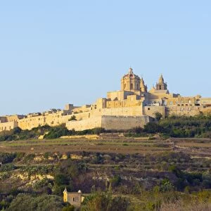 Stone walled city and St. Pauls Cathedral, Mdina, Malta, Mediterranean, Europe