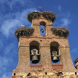 Storks nest on parish church, Villar de Mazarife, Leon, Spain, Europe