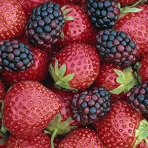 Strawberries and blackberries, England, United Kingdom, Europe