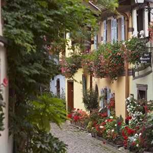 Street in the heritage village of Eguisheim, Alsatian Wine Road, Haut Rhin