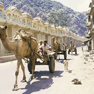 Street scene with camel cart