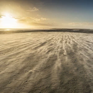 Strong winds on Camber Sands beach, East Sussex, England, United Kingdom, Europe