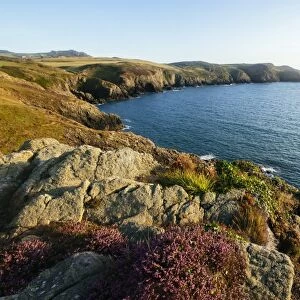 Strumble Head, Pembrokeshire Coast National Park, Wales, United Kingdom, Europe