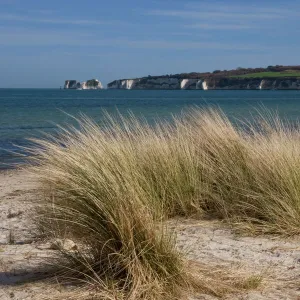 Studland Beach and The Foreland or Hardfast Point, showing Old Harry Rock