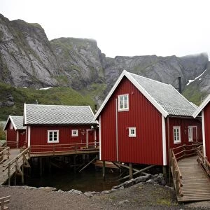 Summer cabins at Reine, Lofoten Islands, Norway, Scandinavia, Europe