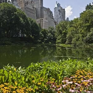 Summer flowers and The Pond, Central Park, Manhattan, New York, United States of America