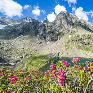 Summer sky over mountain peaks and rhododendrons framing lake Zancone, Orobie Alps
