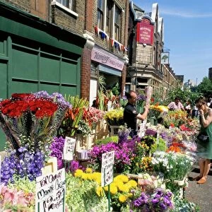 Sunday flower market, Columbia Road, London, England, United Kingdom, Europe