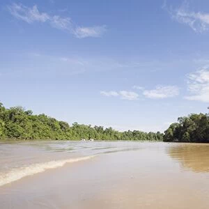 Sungai Kinabatangan River, Sabah, Borneo, Malaysia, Southeast Asia, Asia