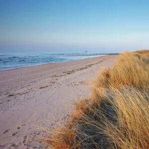 A sunny spring evening at Holkham Bay on the North Norfolk coast, Norfolk