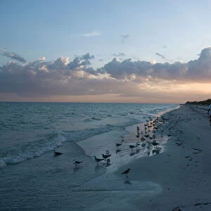 Sunset on beach, Sanibel Island, Gulf Coast, Florida, United States of America