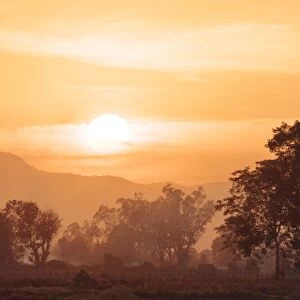 Sunset over Paddy fields near Hsipaw, Shan State, Myanmar (Burma), Asia