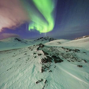 Surreal shapes of the Northern Lights (Aurora Borealis) in the Arctic night, Skarsvag