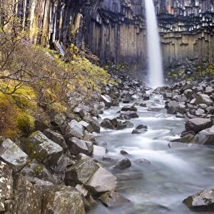 Svartifoss waterfall in the Skaftafell National Park, Iceland, Polar Regions