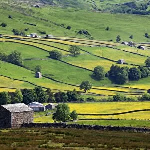 Swaledale in summer from Askrigg High Road near Muker, Yorkshire Dales, Yorkshire, England, United Kingdom, Europe