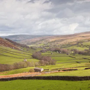 Swaledale in the Yorkshire Dales National Park, Yorkshire, England, United Kingdom, Europe