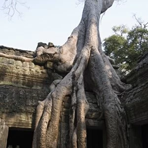 Taprohm Kei temple, Angkor Thom, Siem Reap, Cambodia