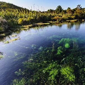 Te Waikoropupu springs declared as clearest fresh water springs in the world, Takaka, Golden Bay, Tasman Region, South Island, New Zealand, Pacific