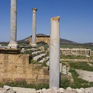 Temple of Caelestis, Roman ruin of Thuburbo Majus, Tunisia. North Africa, Africa