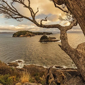 Tepare Point Reserve, Coromandel Peninsula, Waikato, North Island, New Zealand, Pacific