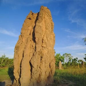Termite cathedral by the Arnhem Highway near the Mary River Crossing between Darwin