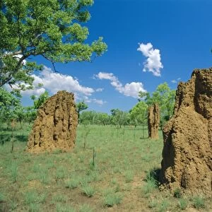 Termite mounds, Kakadu National Park, Northern Territories, Australia