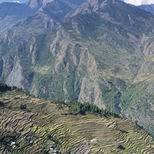Terraced fields in upper Trisuli Valley