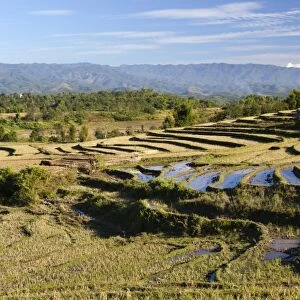 Terraced rice fields and Shan hills, near Kengtung, Shan State, Myanmar (Burma), Asia