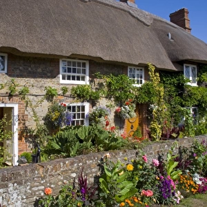 Thatched cottage, Selsey, Sussex, England, United Kingdom, Europe