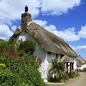 Thatched cottage on a village street in Cornwall, England, United Kingdom, Europe