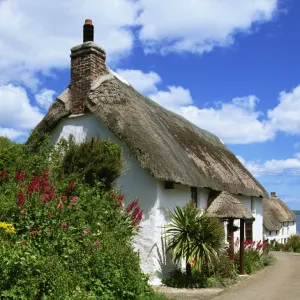 Thatched cottage on a village street in Cornwall, England, United Kingdom, Europe