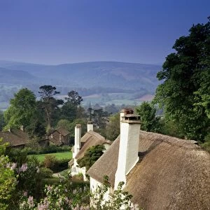 Thatched cottages at Selworthy Green, with Exmoor beyond, Somerset, England