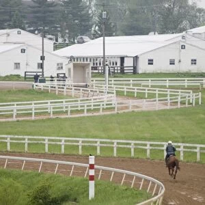 The Thoroughbred Center