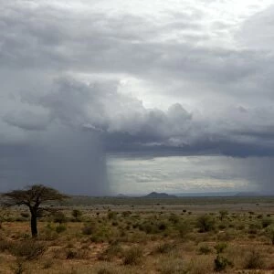 Thunderstorm, Usambare mountains, Tanzania, East Africa, Africa