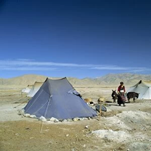 Tibetan nomads camp near Tingri in Tibet, China, Asia