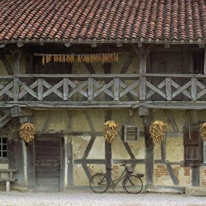Timbered house with verandah, with maize bundles hanging to dry, and a bicycle parked outside in Ferme de la Foret near Bresse, Ain, Rhone Alpes