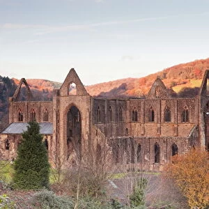 Tintern Abbey, founded by Walter de Clare, Lord of Chepstow, in 1131, Tintern, Monmouthshire, Wales, United Kingdom, Europe